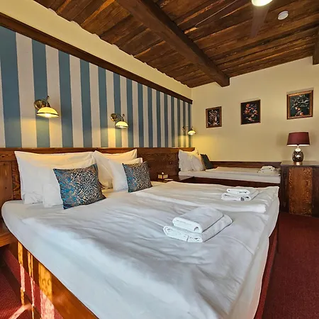 Guest house Galerie *